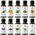 ESSENTIAL OIL'S