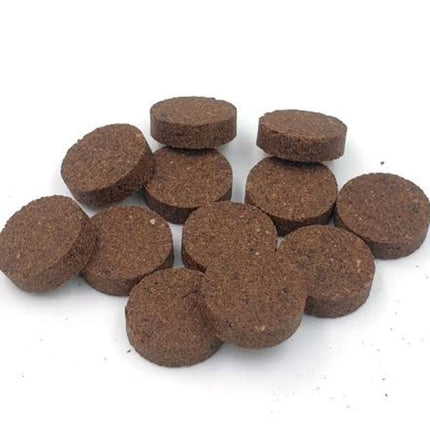 Collection image for: BAKHOOR COLLECTION