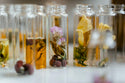FRAGRANCE OIL'S